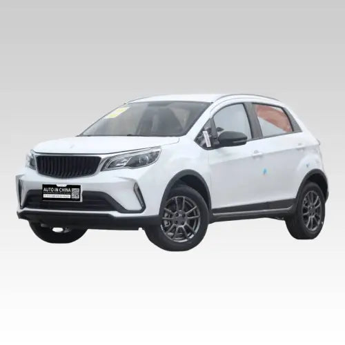 Verre de Phare Livan GX 3 pro